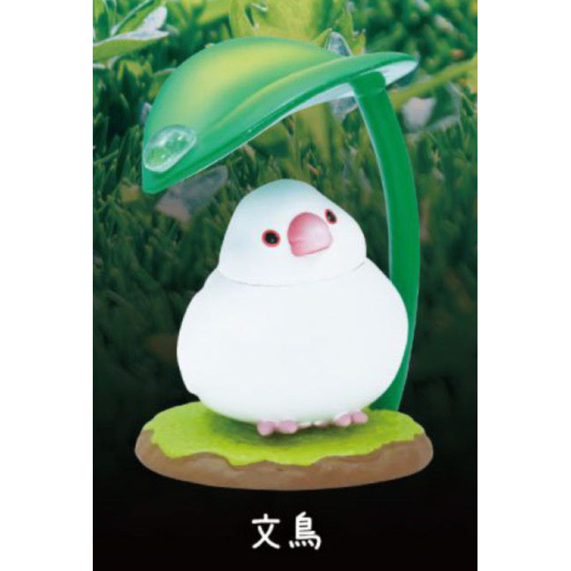 [BTF] Hàng có sẵn Đồ chơi viên nang QUALIA Nhật Bản Ngày mưa giấu chim mưa 2 đồ trang trí Vẹt Toucan D52B