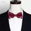 PNPIA- Thắt Nơ Nam Đầu Kim Loại Chắc Chắn Cao Quý Cổ Điển Polyester Bướm Nơ Cravat Nơ Nữ Nam Newear Dự Tiệc Tiếp Liệu