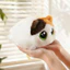 Cùng Ngày Giao Hàng Chubby Die Die Le Cat Sang Trọng Đồ Chơi Mèo Đen Búp Bê Tay Còn Lại Búp Bê Ragdoll Quà Tặng