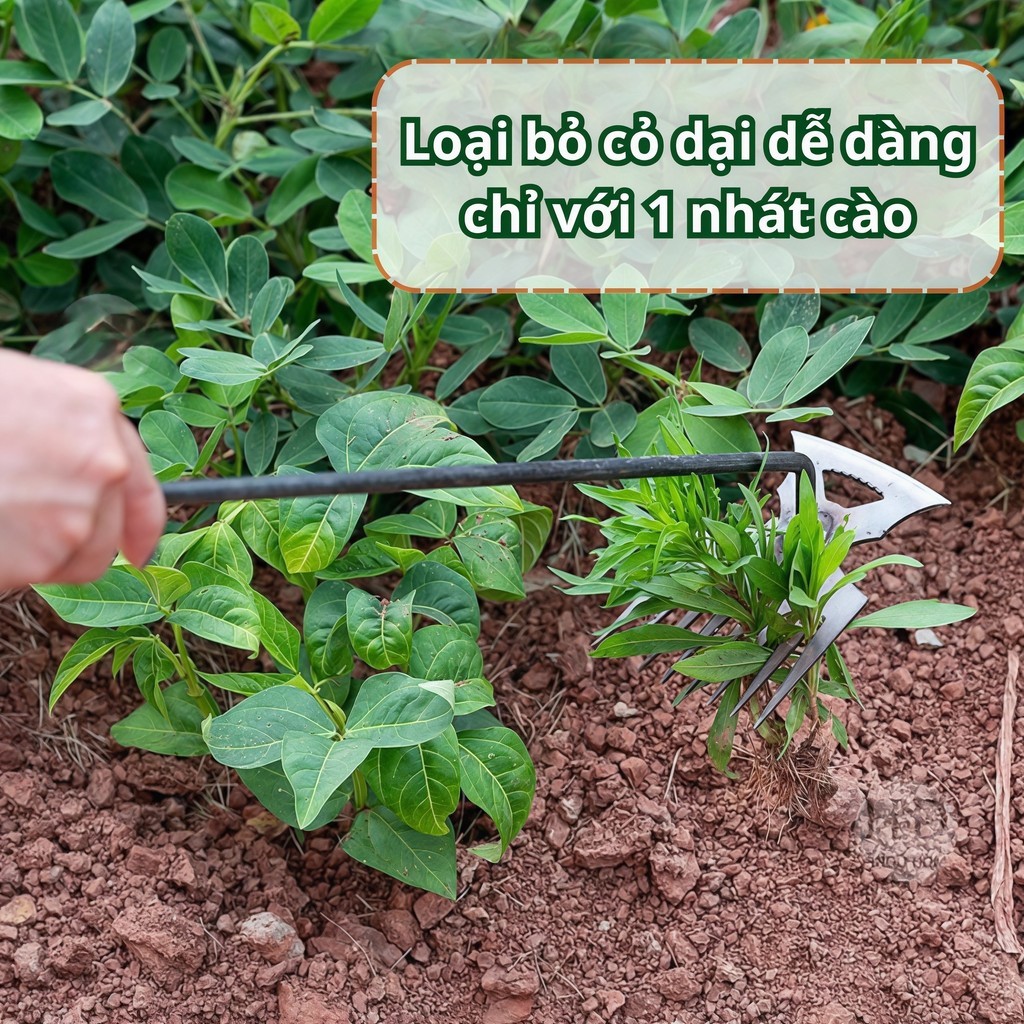 Cào Cỏ Làm Vườn 11 Răng, Cuốc Nhổ Cỏ Dại, Làm Nương Rẫy, Dụng Cụ Cào Cỏ Đa Năng Bằng Thép Không Gỉ,DỤNG CỤ LÀMVƯỜN-FE123