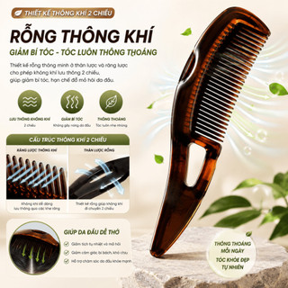 Lược Hỗ Trợ Giảm Gàu, Massage Da Đầu Có Tay Cầm Cao Cấp, Lược Giảm Rụng Tóc, Gỡ Rối Tóc, Làm Phồng Chân Tóc