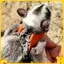 4 Thú Cưng Nhỏ Dây Đeo Ngực Hamster Sóc Dây Xích Chống Cắn Lực Kéo Dây Đường Glider Chống Gió Đặc Biệt Chống Mất Dây