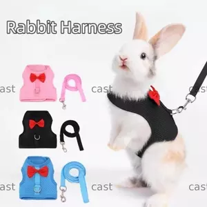Dây xích dây nịt thỏ CAST, Áo nịt thỏ thoáng khí chống thoát hiểm, Dây xích đi bộ bằng vải Polyester có thể điều chỉnh kích thước cho thú cưng nhỏ Sử dụng