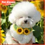Khăn Cho Mèo Chó Yếm Thú Cưng Handmade Khăn Nước Bọt Dễ Thương Thú Cưng Phụ Kiện Bichon Muppet Yếm Đồ Trang Trí Thú Cưng