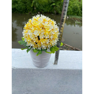 Cây nhựa giả để bàn, trang trí