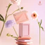 Phấn Má Hồng VDL Cheekstain Blusher 6G