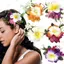 Chân tóc hoa Hawaii PYCOU, Kẹp tóc hoa Boho ngọt ngào tươi, Móng vuốt tóc hoa nhân tạo thời trang Đa năng Frangipani Kẹp mỏ vịt Đạo cụ ảnh cho kỳ nghỉ