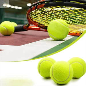 Bóng chơi thú cưng AWNGD, Bóng Tennis bền đàn hồi, Bóng tập luyện không độc hại cho chó