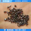 Kim Loại Bán Lẻ Đúc Thép Máy Pilling Thuốc Dây Thép Mài Mòn Thuốc Khử Rỉ Sắt Grit Hợp Kim Thép Grit Cắt