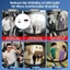 Vỏ thiết kế bán mở BTM Giữ riêng tư trong quá trình quay phim các cuộc họp xã hội