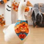 QEARY Thú Cưng Halloween Bandana, Vải Polyester Họa Tiết Ma Chó Tam Giác Yếm, Lễ Hội Chó Con Cổ Hai Mặt Hình Tam Giác Nhẹ Mèo Nước Bọt Khăn Quần Áo Cho Chó