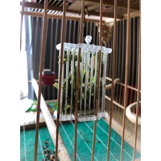 Rọ đựng cào cào cho chim, xiên hoa quả cho chim chào mào Combo 5 rọ + 5 xiên nhựa tầu giá rẻ - lồng chim nhà làm
