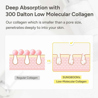 SUNGBOON EDITOR Deep Collagen Anti Wrinkle Cream In Serum 30ml Collagen Boosting AntiAging Serum With Moisturizing Cream Layer