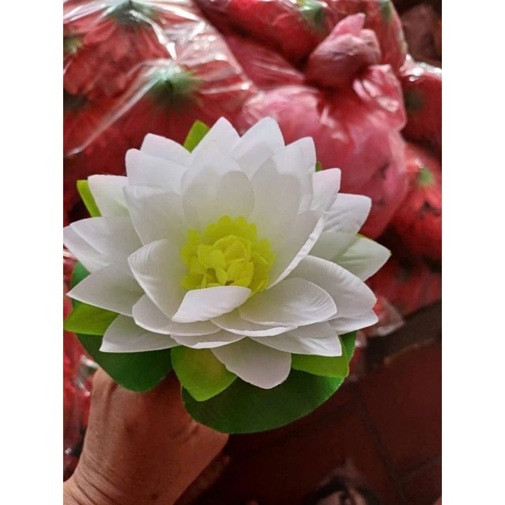 Hoa sensúng có sẵn chun phía sau xỏ ngón tay, dùng để múa đồng diễn, biểu diễn văn nghệ, Đạo cụ phụ kiện Nguyễn Nhật