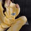 Đồ Ngủ Quần Dài Dài Tay Cotton Đám Mây Hoạt Hình Mùa Xuân Thu Cho Nữ Áo Cardigan Cổ Bẻ Ngọt Ngào Kiểu Nhật Đồ Mặc Nhà