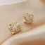 S925 Bạc Kim Sang Trọng Zircon Bông Tai Cỏ Bốn Lá Nữ Niche Thiết Kế Cao Cấp Thanh Lịch Bông Tai 6.16