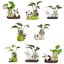 Linh hồn| Lucky Tre Planter Máy Tính Để Bàn Gấu Trúc Trang Trí Máy Tính Để Bàn Gốm Gấu Trúc Chậu Hoa Thủy Canh Nhỏ Dễ Thương Cho Bàn Làm Việc Trang Trí Văn Phòng Lý Tưởng Cho Vườn Gia Đình