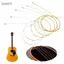 Guansfs Dây đàn Guitar Acoustic Chất liệu thép và đồng với lớp phủ chống rỉ 3 tùy chọn màu sắc cho âm thanh ổn định Phụ kiện thay thế dễ dàng luyện tập Nhạc sĩ (dây đồng đỏ)