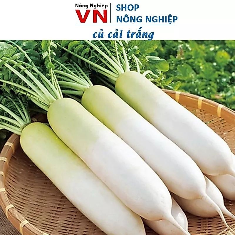 Hạt Giống Củ Cải Trắng f1 💯 Củ To, Ngọt Non💖 Chất Lượng Cao