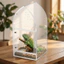 Hộp bò sát Acrylic QEARY, Terrarium nhện thông gió trong suốt, Khóa khóa vỏ thằn lằn Hộp đựng thức ăn bò sát chống thoát hiểm Jumping Spider Habitat