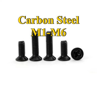Ốc Vít Đầu Dẹt Đen inox 304  /Ốc vít đầu pake dẹp mỏng phẳng   Chuyên Dụng  KM Vít M1-M6 [LXY-CB-1]