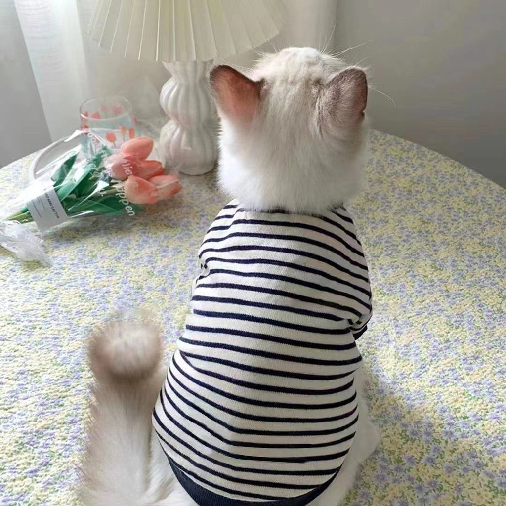 【Ready Stock】 Summer Pet Dog Cat Clothes Four Seasons Fashion Brand Handsome Small Milk Blocks British Shorthair Muppet Cat Two-Leg Sweater ppJa