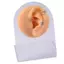 CANAMEK Silicone Ear Model Practice Piercings Tools Ear Studs Display With Acrylic Stand CSF