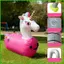 Bouncy Horse 220Lbs Khả năng chịu lực Thổi lên Phễu Đồ chơi ngựa nảy mỡ cho trong nhà Ngoài trời Tuổi 5 Trẻ em saixit2vn