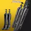 TMOY 1 Chiếc Giày Đế Đứng Có Tay Cầm Nữ Boot Giày Cây Cáng Dài Shaper TMOY