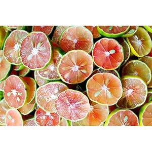 1kg Chanh Đào Tươi Hoà Bình ( Chanh cuối mùa)