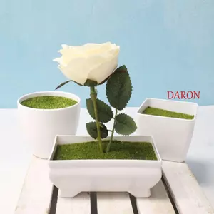 DARON Chậu Hoa Dày Trang Trí Sân Vườn Đổ Xô Bọt Sáng Tạo Tiệc Cưới Thiết Bị Sắp Xếp Hoa