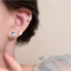 Bông Tai Sang Trọng Zirconia Nhỏ Phù Hợp Với Ngọc Trai Đinh Nuôi Dưỡng Tinh Tế Bạc Kim Nữ Tai Trăm Bộ Niche Pumice Bông Tai Sang Trọng