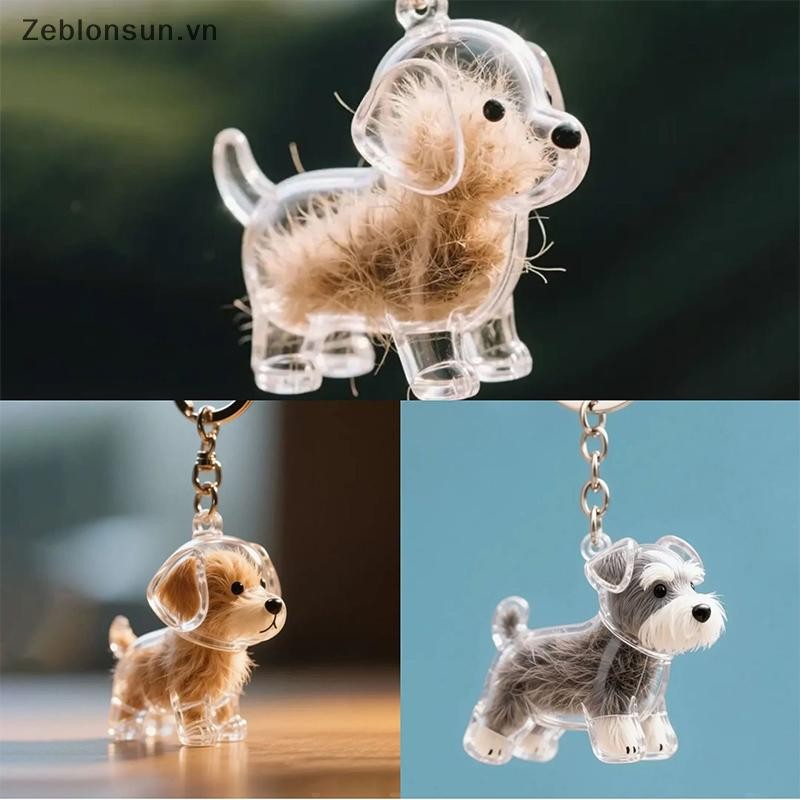 # HB # Clear Puppy Hair Memorial Keepsake Capsule Pet 's Dog Container DIY Mặt dây chuyền Móc khóa Trang trí Pet Lovers Quà tặng trưng bày tại nhà.