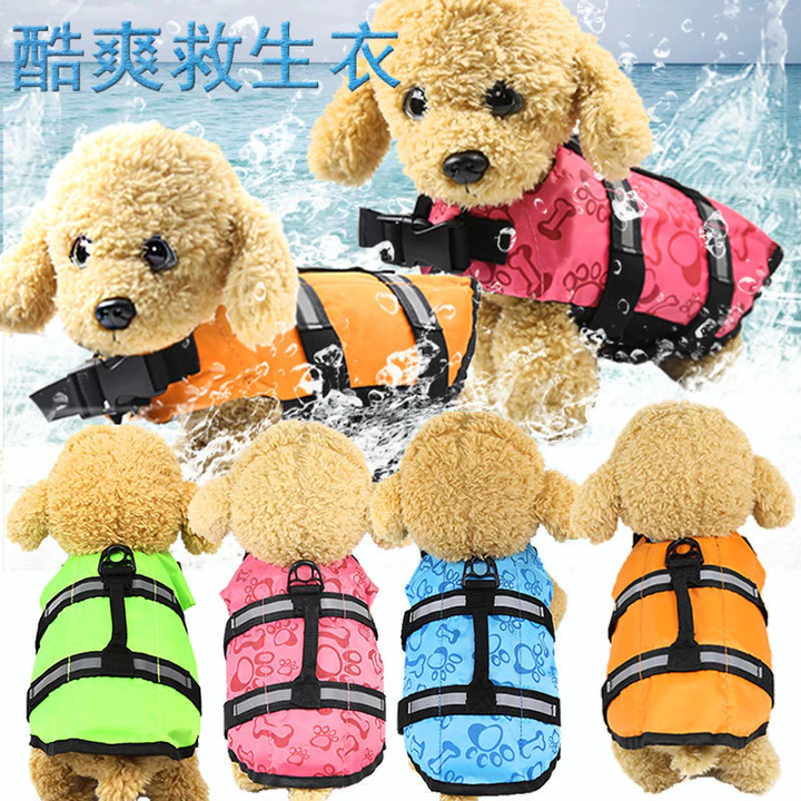 Thú Cưng Chó Cuộc Sống Áo Bơi Đồ Dùng Quần Áo Mùa Hè Thú Cưng Đồ Bơi Nhỏ Vừa Lớn Chó Chó Cứu Sống Mèo