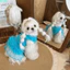 QEARY Puppy Công Chúa Đầm, Thoải Mái Mềm Mại Cho Chó Lưới Lông Tơ Váy, Thời Trang Cổ Tròn Thoáng Khí Mỏng Dây Đeo Thú Cưng Váy Puff Đảng
