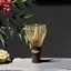 YUJUNI Matcha Whisk, Chasen tre có thể tái sử dụng, Bộ trà Nhật Bản đa chức năng truyền thống Bột trà xanh Matcha cho những người yêu thích trà