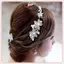 JRP Mới Pha Lê Kim Cương Giả Ngọc Trai Bạc Tiệc Cưới Tiara Cô Dâu Kẹp Tóc JRP