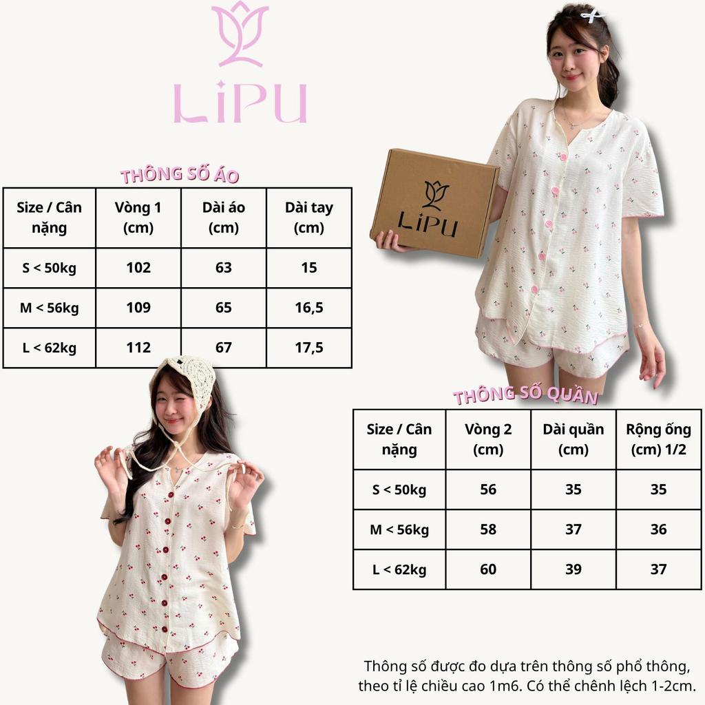 Set Pyjama Cộc Cổ V Hoạ Tiết Cherry Phối Viền S02 LIPU