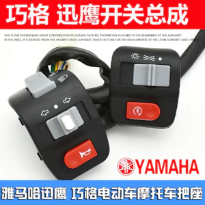 Xe Điện Xe Tay Ga Xe Máy Qiaoge Kết Hợp Công Tắc Lắp Ráp Sừng Đèn Pha Nút Tay Cầm Ghế Phụ Kiện 6.26 DBIM