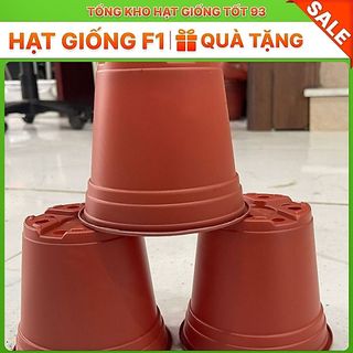 3 chậu nhựa trồng hoa (kích thước 12x10,5 nên mua từ 5 chậu gửi ko bị móp) shop lấy màu ngẫu nhiên Loại 1