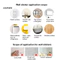Linh hồn| Trẻ em Biểu đồ tăng trưởng Decal Thước đo chiều cao Nhãn dán tường Biểu đồ tăng trưởng cho bé Nhãn dán tường Thước đo chiều cao tự dính cho trẻ em Trang trí phòng chơi mẫu giáo cho trẻ em