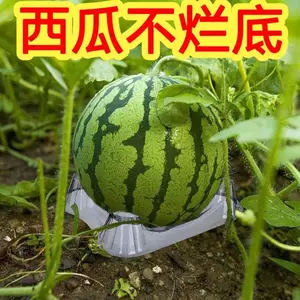 Dày Dưa Hấu Khay Bảo Quản Thớt Dưa Khay Cantaloupe Dưa Dưa Khay Vỉ Nhựa Dưa Thảm Bảo Quản Khay AAJ1
