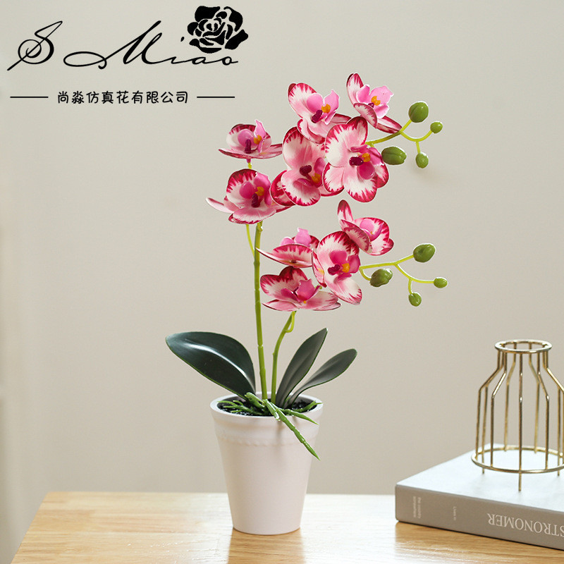 Chậu Hoa Lan Hồ Điệp Trắng Giả | Trang Trí Thanh Lịch Cho Nhà & Văn Phòng