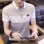 Áo Polo cotton ngắn tay, thiết kế Hàn Quốc, phù hợp mùa hè
