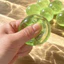 CATMALLER88 Đồ chơi giảm căng thẳng mềm, Thiết kế ngộ nghĩnh Hình quả nho xanh Đồ chơi Squishy trái cây, Di động bóng thực tế có thể tái sử dụng Thư giãn bóp tăng chậm