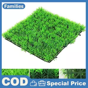 Nước nhân tạo nóng Thủy sinh Cây cỏ xanh Bãi cỏ Bể cá Cảnh quan bể cá