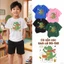 Áo thun in hình bé trai học sinh tiểu học Mềm mịn Cho bé 2-12 tuổi