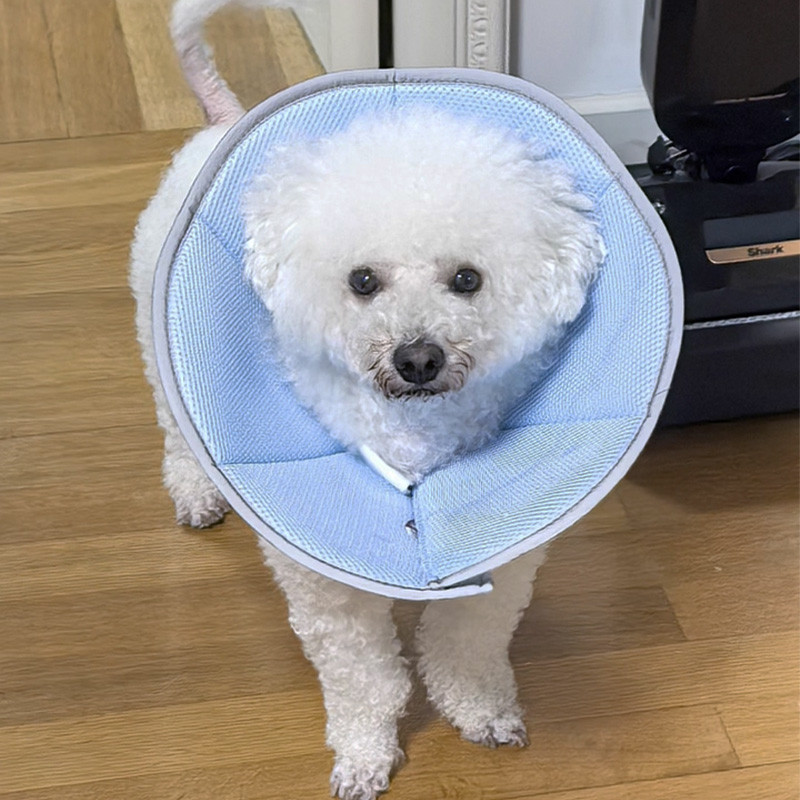 HamshMoc Pet E Collar 360 Lưới thoáng khí Dây buộc có thể điều chỉnh phản quang để phục hồi