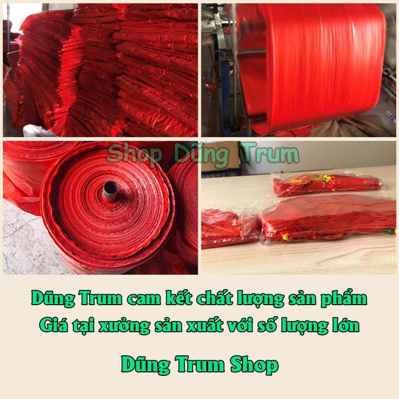 COMBO 10 Đèn Lồng Đỏ trang trí Tết chữ Phúc chất liệu chống nước các size 13,15, 20, 25cm
