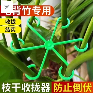 Hỗ trợ cây trồng Monstera - Giá đỡ lò xo chống rơi cho chậu hoa làm vườn xanh